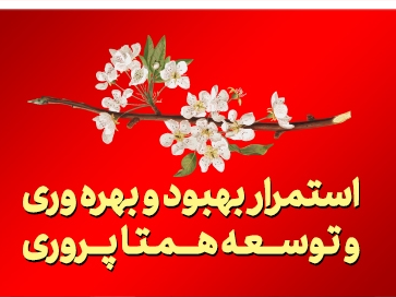 شعار